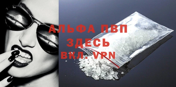 стафф Белокуриха