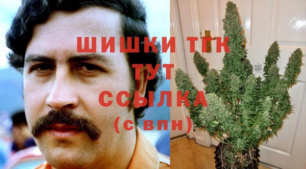 стафф Белокуриха