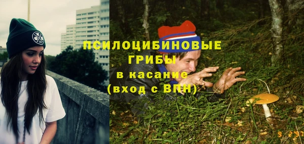 стафф Белокуриха
