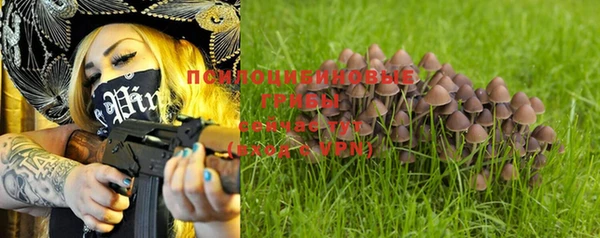 стафф Белокуриха
