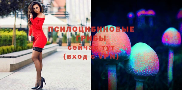 спайс Беломорск